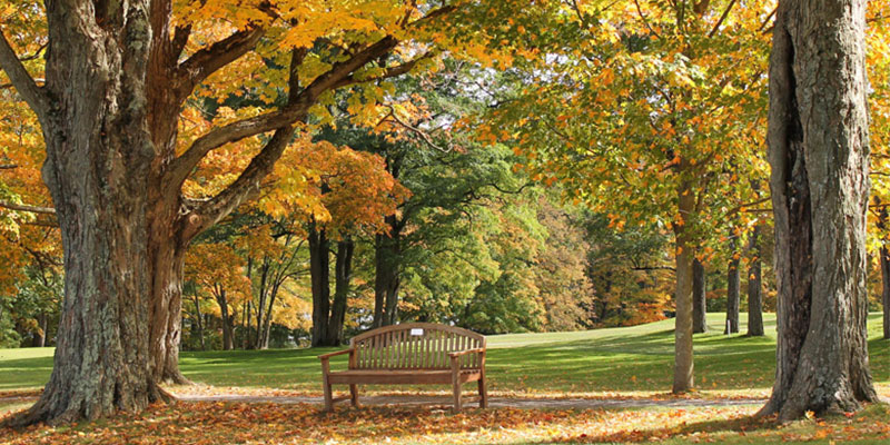 料金についてお話しています。